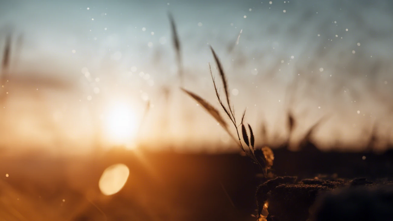 A descriptive image about Energy management Page